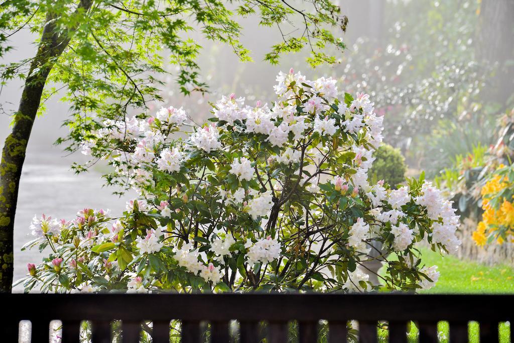 Charmilles Des Cordeliers Bed and Breakfast Παρίσι Εξωτερικό φωτογραφία